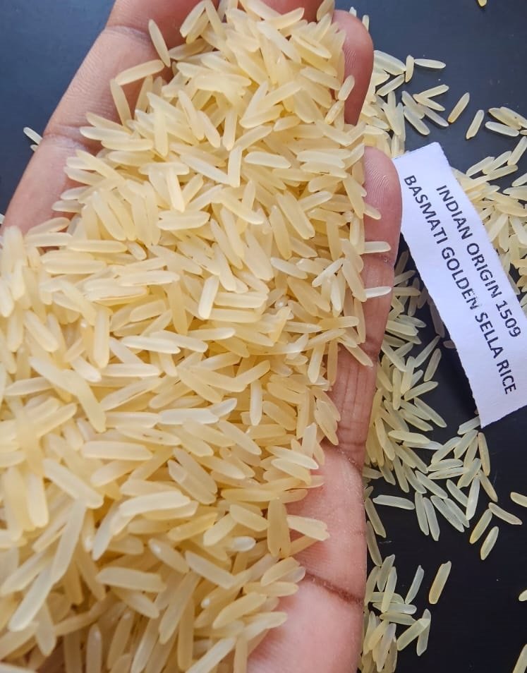 1509 Golden Sella Basmati Rice XXXL