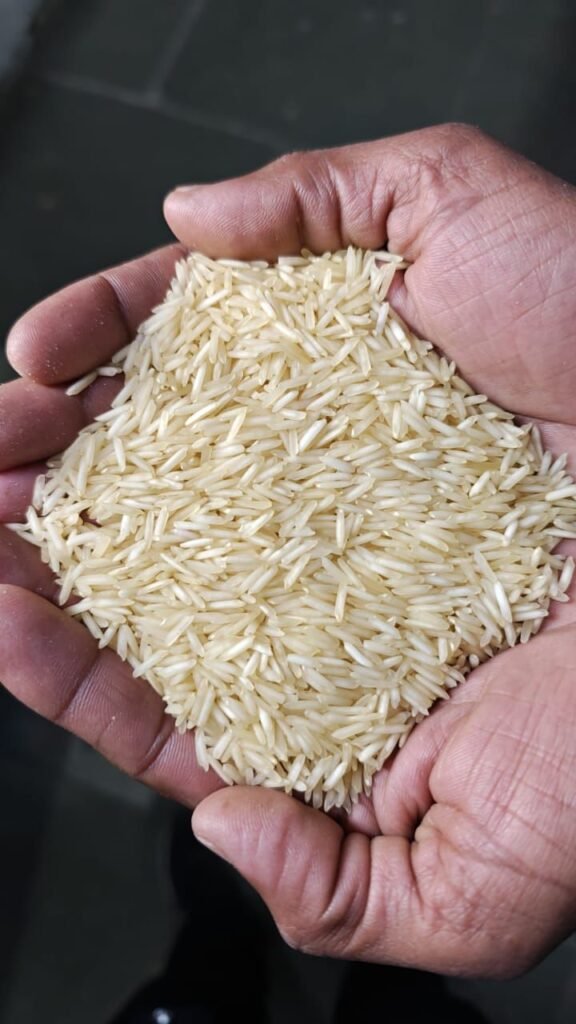 1121 STEAM BASMATI RICE XXXL